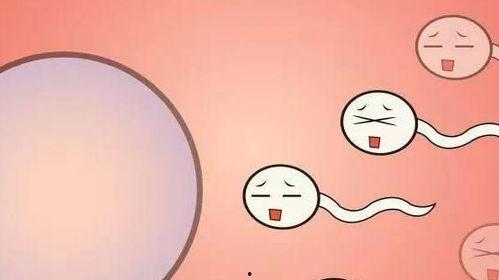 婴儿变成人形视频,神奇成长的瞬间回顾  第2张