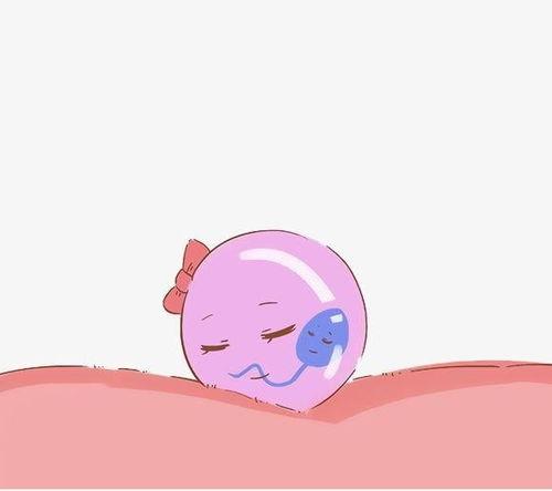 婴儿变成人形视频,神奇成长的瞬间回顾  第3张