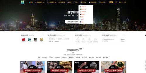 成人日记素材视频网站  第3张