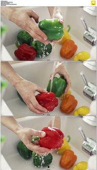 成人版辣椒视频网站  第2张