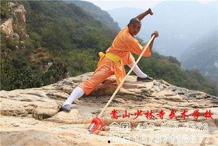 成人如何学武术视频,成人学武术视频教程全解析  第1张