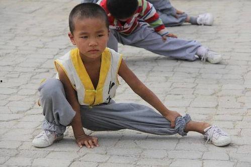 成人如何学武术视频,成人学武术视频教程全解析  第3张