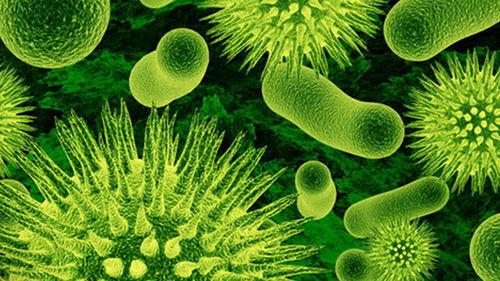 成人衣服细菌视频大全,全方位视频解析  第2张