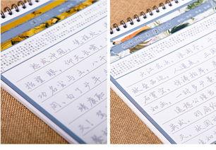 成人要练书法怎么练字视频,跟随视频教程，轻松掌握练字技巧  第2张