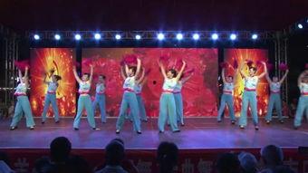 剑河舞蹈成人舞蹈视频  第1张