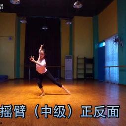 剑河舞蹈成人舞蹈视频  第2张