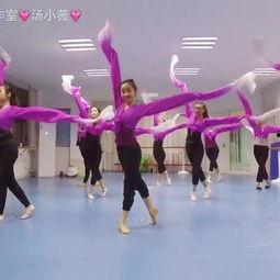 剑河舞蹈成人舞蹈视频  第3张